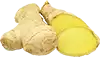 gingerroot , în ulei