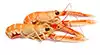 Langustine