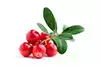 lb 2 oz lingonberries sau afine congelate sau proaspete
