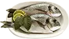 1-1 1/4-Lira întreg porgy, snapper gri, sau branzino, curățate