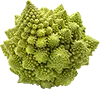 Romanesco broccoli