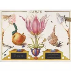 Cadru Piatra Blossom Sauvignon Blanc