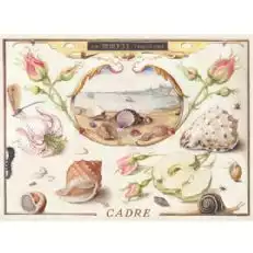 Cadre Regina Mării Albarino