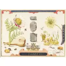 Cadre trupa de pietre Gruner Veltliner