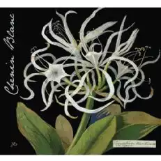 Botanica Vinuri Mary Delany Chenin Blanc