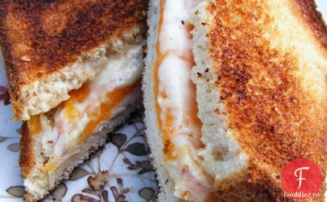 Sandwich De Pui Rotisor Rămas