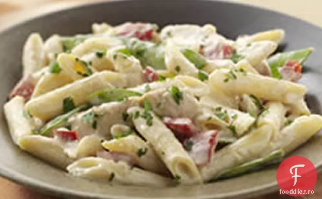 Cremă De Pui Penne