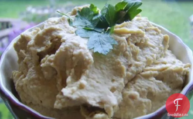 Hummus Mexican