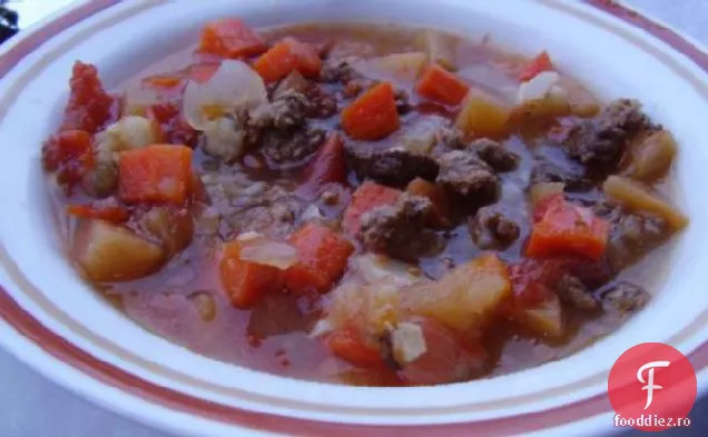 Crock Pot Rădăcină Legume Tocană De Vită Măcinată