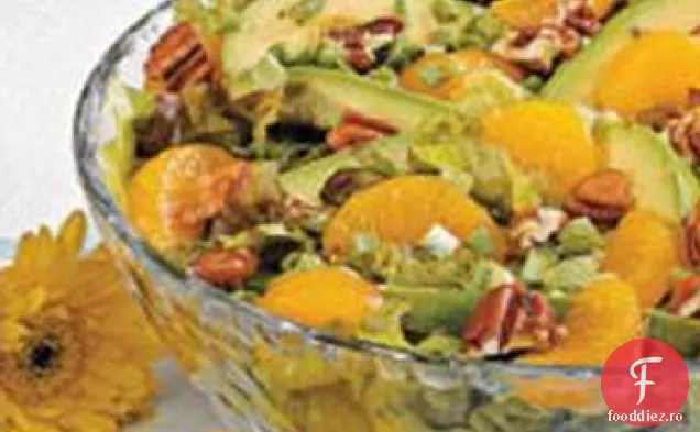 Avocado Mandarin Salată Aruncată
