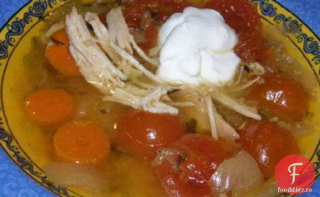 Supă de pui și legume în stil Yucatan