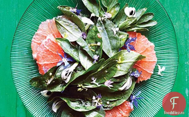 Salată verde Fava, Grapefruit și flori