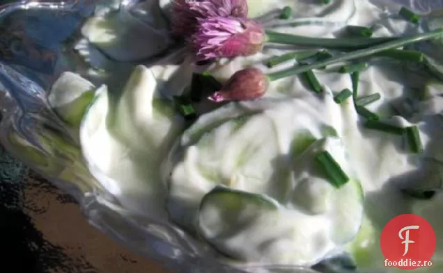 Salată De Castraveți