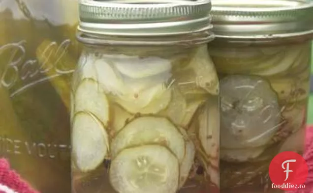 Crock Pot Usturoi Marar Muraturi