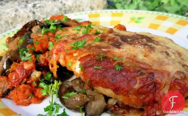 Supă De Vinete Prăjite (Vinete)