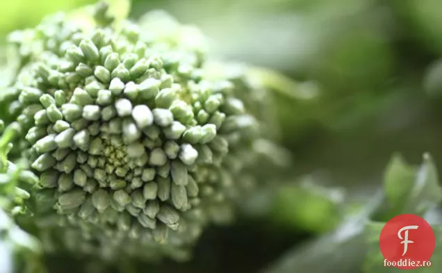 Broccoli Rabe Și Straturi De Pâine De Porumb