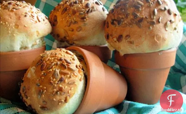 Fără Mușcături De Energie De Ovăz De Migdale