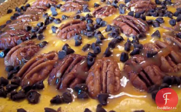 Turtle Pumpkin Pie
