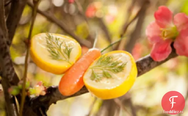 Fluturi Frumoase