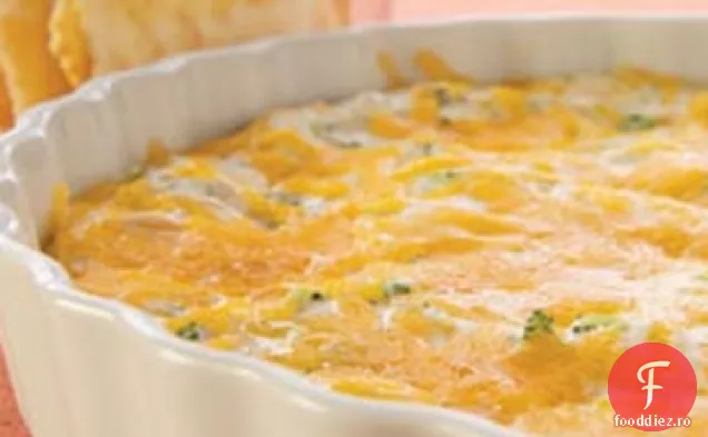 Knudsen Fierbinte Broccoli Brânză Dip