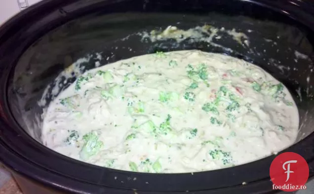 Weight Watchers Crock Pot Pui Alfredo Remake