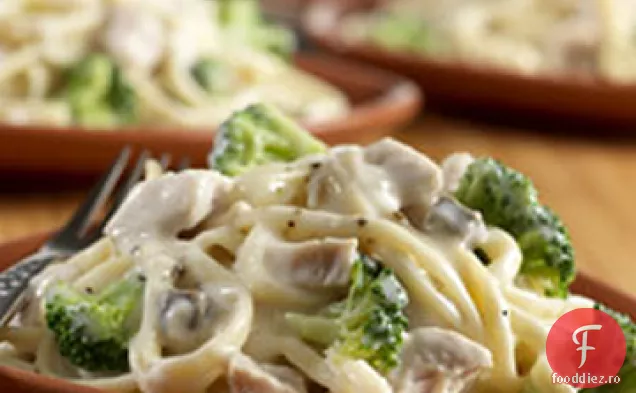 Campbell ' s curcan și Broccoli Alfredo