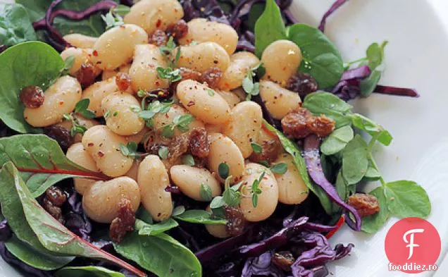 Fasole, Spanac Și Varză Roșie