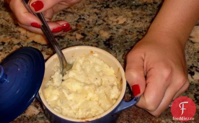 Cauli-Flied/Conopidă 