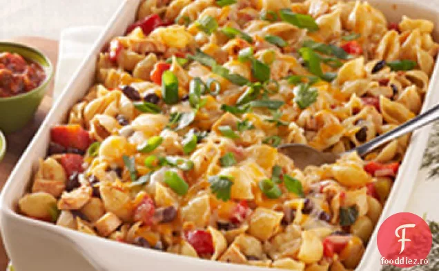 Enchilada Paste Coace
