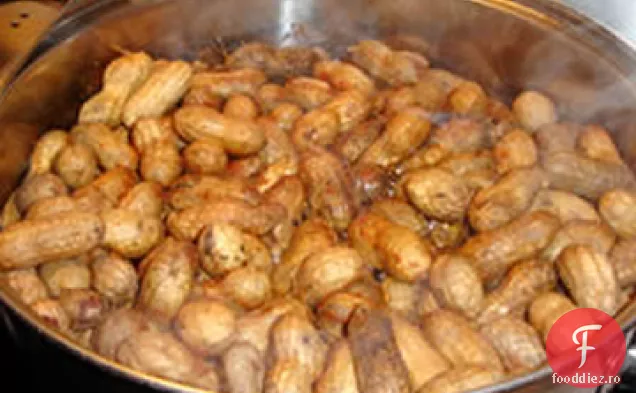 Arahide Fierte Cajun