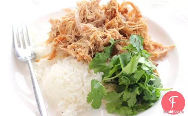 Carne De Porc Kalua Hawaiană Ușoară