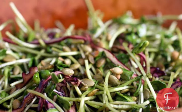 Mexican Germina Slaw