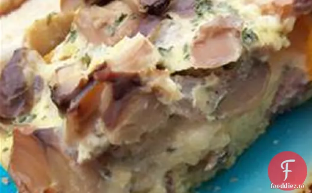 Pătrate De Omletă La Cuptor