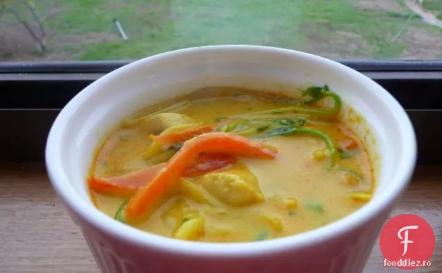 Laksa de pui (cu conținut scăzut de grăsimi și delicios)