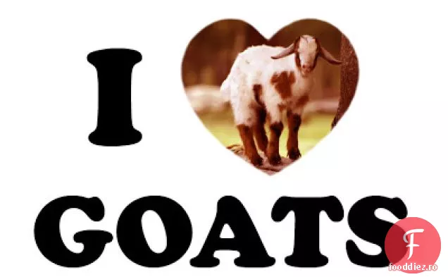 Salată Waldorf Cu Iaurt De Capră