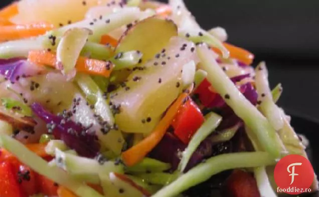 Salată De Pui Cu Vinetă De Semințe De Mac De Ananas