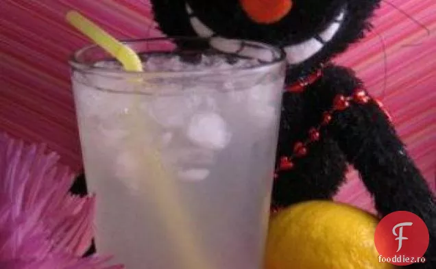 Ginger Lemon Fizzy