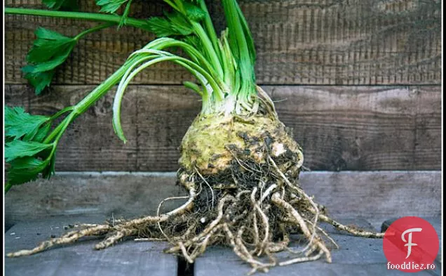 Celeriac, Păstârnac Și Gratin De Cartofi