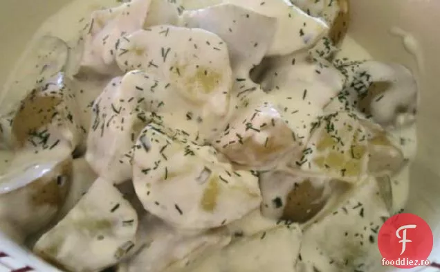 Cartofi noi în sos cremos de mărar
