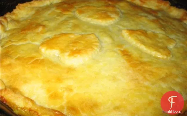 Chow Mein de pui pentru o tigaie electrică