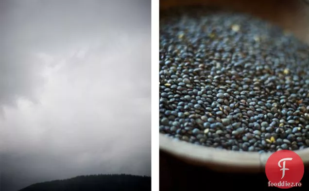 întâmpinarea primului îngheț: supă de linte condimentată cu roșii de moștenire prăjite