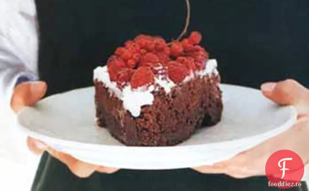 Tort Dublu De Ciocolată