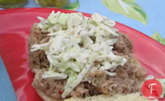 Aragaz lent Carolina BBQ
