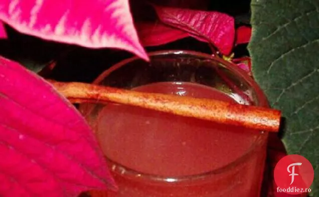 Poinsettia Sipper (cu variație