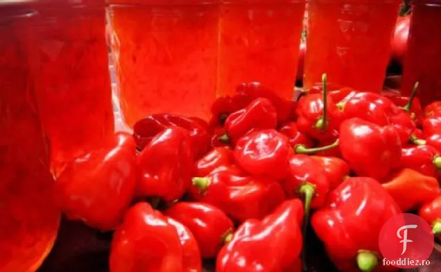 Jeleu De Aur Habanero