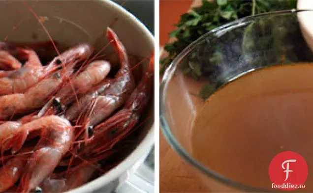 Stoc De Crustacee