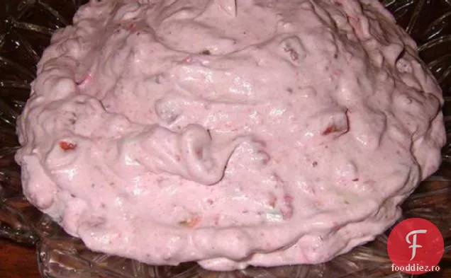 Salata de afine (alias Thanksgiving Pink Stuff)