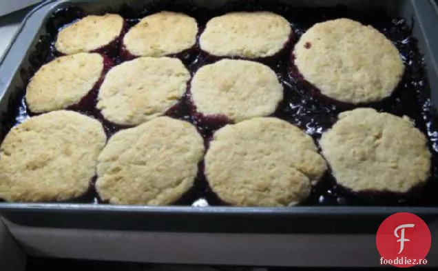 Tati ' s Blackberry Cobbler