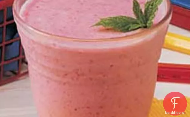 Smoothie Cu Fructe De Pădure