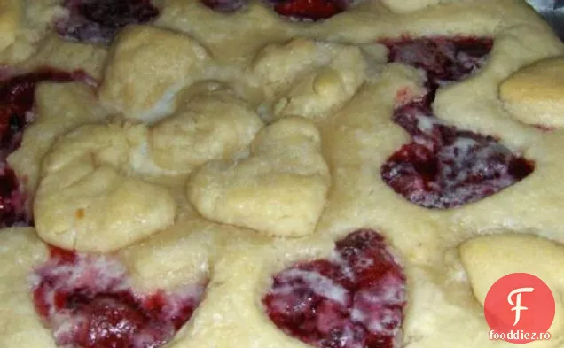 Plăcintă Cu Fructe De Munte